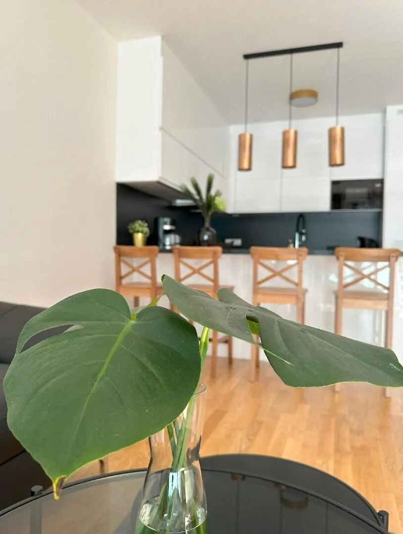 Apartment With Garage & Terrace Prague Czech Republic