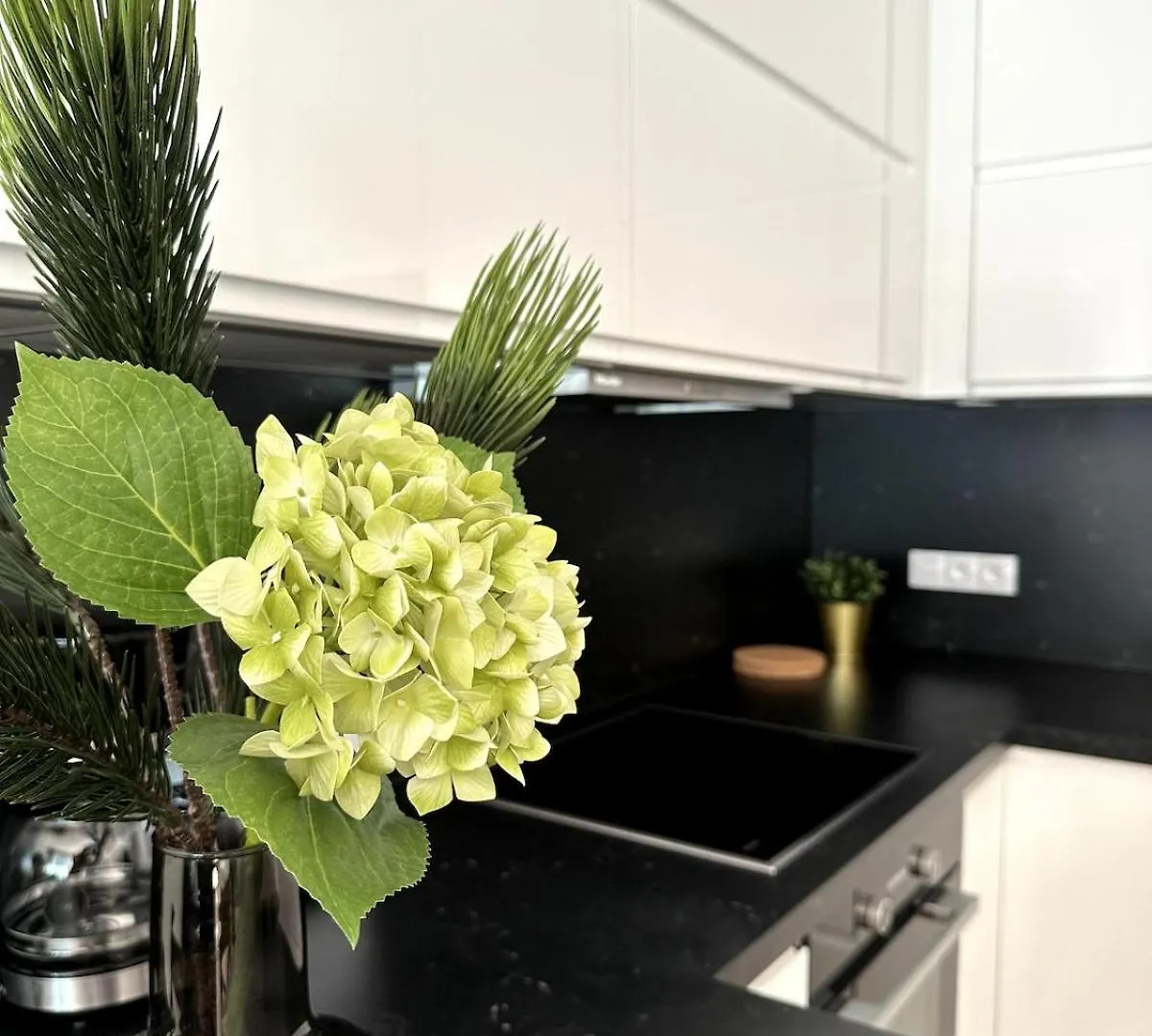 Apartment With Garage & Terrace براغ